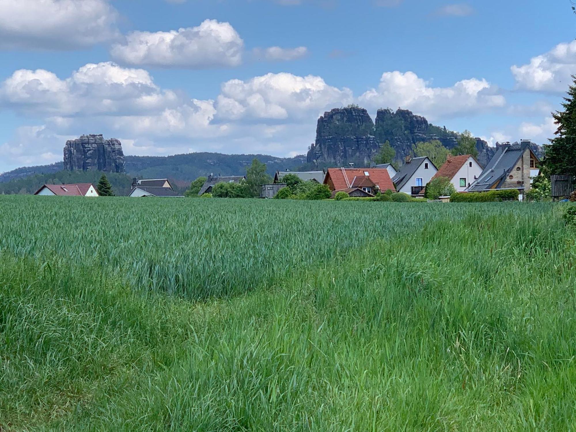 Gasthof Zur Hoffnung ヒンターヘルムスドルフ エクステリア 写真